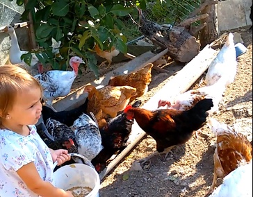 Агротуризм